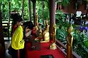 IMG_8710