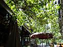 DSC04524