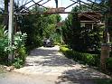 DSC04528