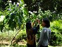 DSC04562