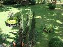 DSC04578