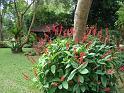 DSC04728