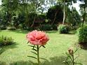 DSC04741