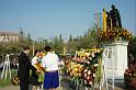 tn_IMG_2398