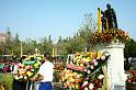 tn_IMG_2412