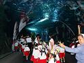 DSC05002