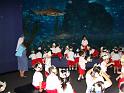 DSC05019