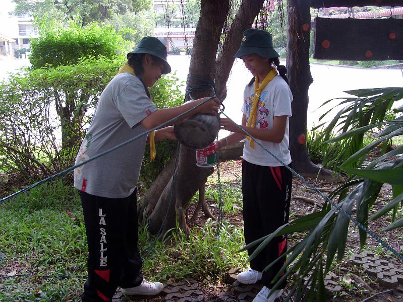 SI850084.JPG