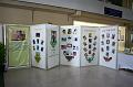 IMG_7608