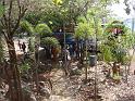 DSC03469