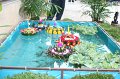 IMG_0702