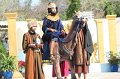 IMG_4660