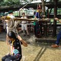DSC04491