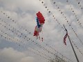 IMG_0910