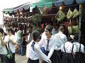 IMG_1212