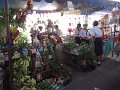 IMG_1261
