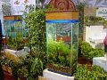 DSC07957