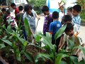 DSC00938