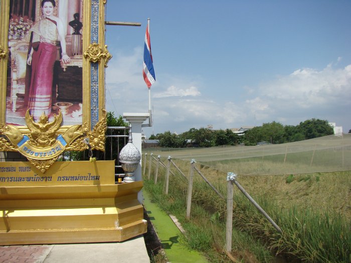 DSC01124