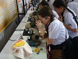 DSC02549.JPG