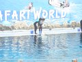 DSC08915