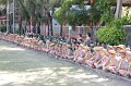 IMG_8872