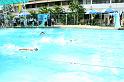 IMG_6950